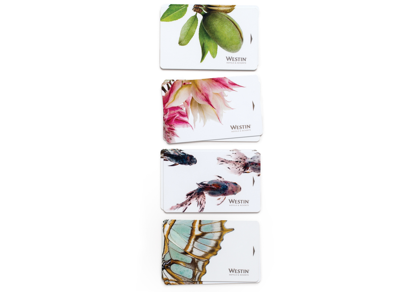 Westin keycards whitespace 1400 0x236x4286x3089